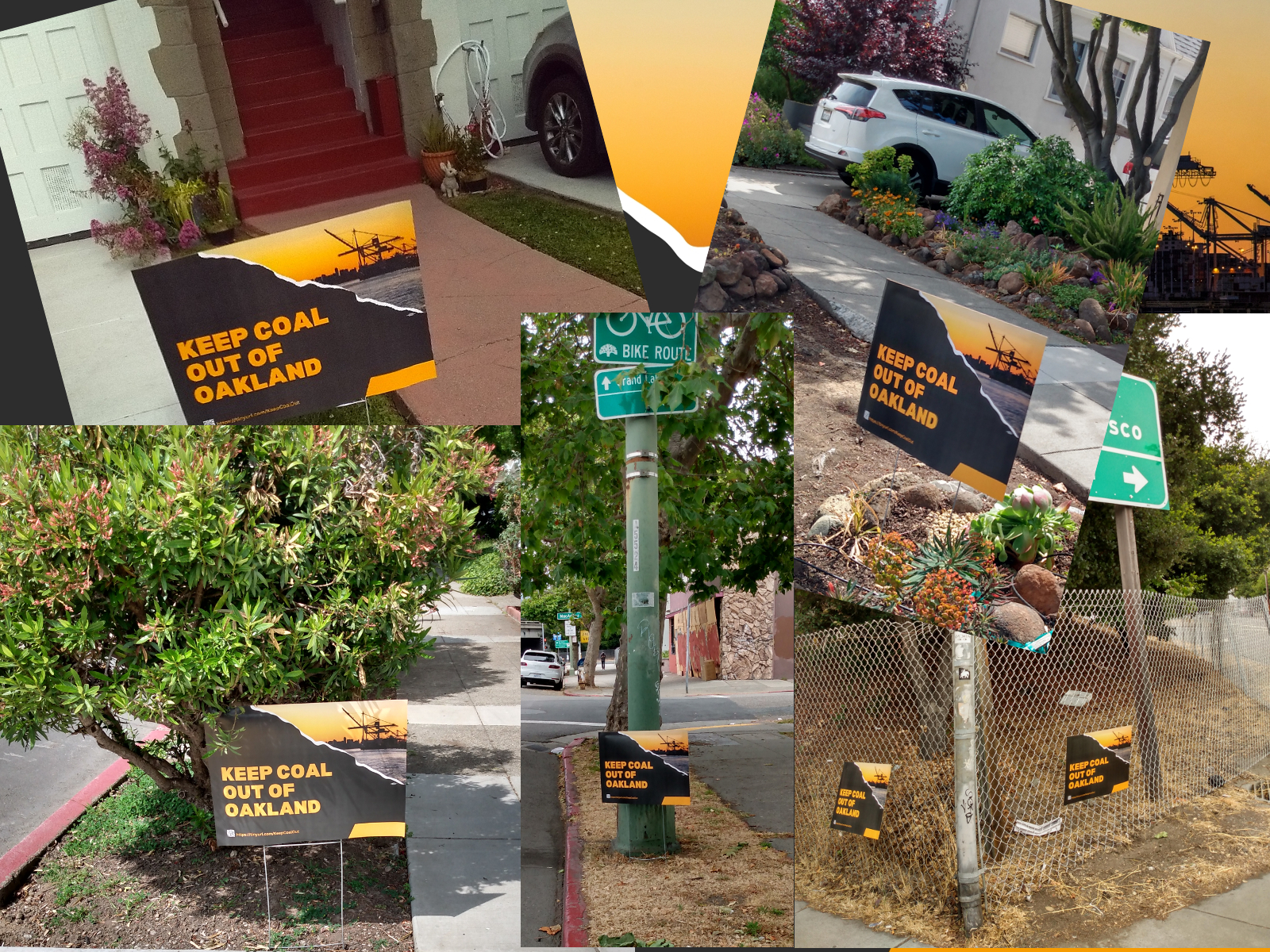 Yard signs displayed in front yards, beside busy thoroughfares, and at freeway entrances throughout Oakland, June 2023